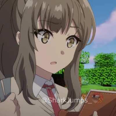 Rascal Does Not Dream of Minecraft 5