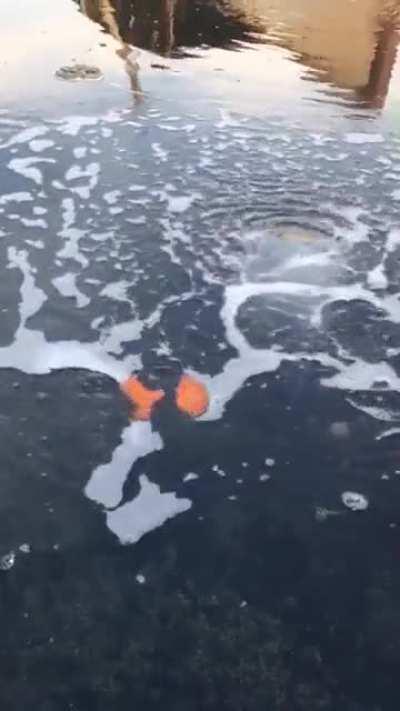 Queimando metano de um lago