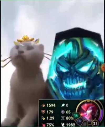 Yuumi & Hecarim.URF