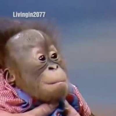 Joker | Todd Phillips 2019