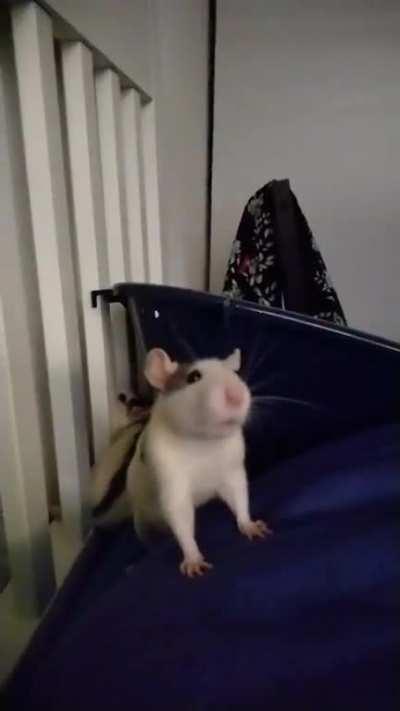 What is she doing? Right and wrong answers welcome (pls tag wrong ones with an /s)