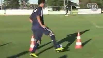 Palmeiras 2011 em uma casca de noz, meus caros