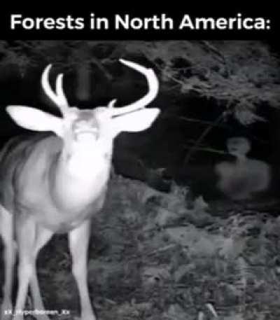 America got the better land lore