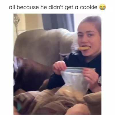 You need to share that cookie!