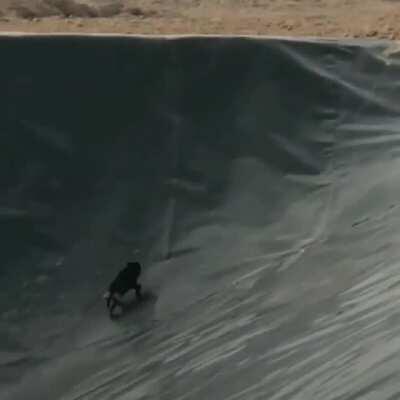 Running away from my responsibilities