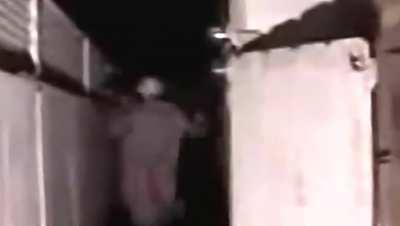 THE HARE AND THE BEAST