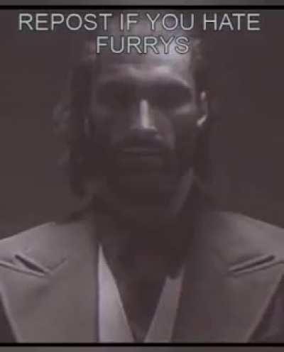 The frame before the chads explains why