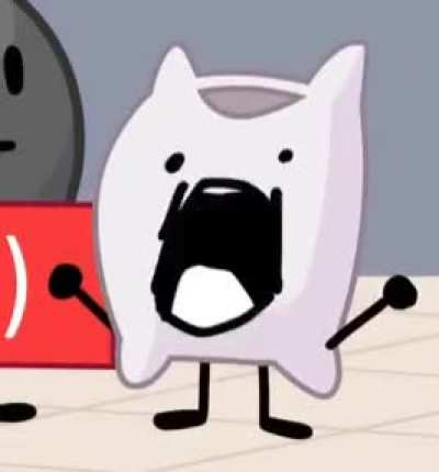 as a pillow hater i will admit this scene was funny