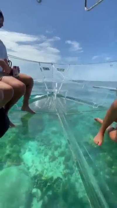 Glass bottomed boat for the 21st century