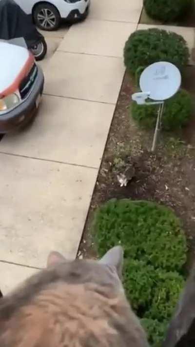 Stay out of my territory you little sh*t.