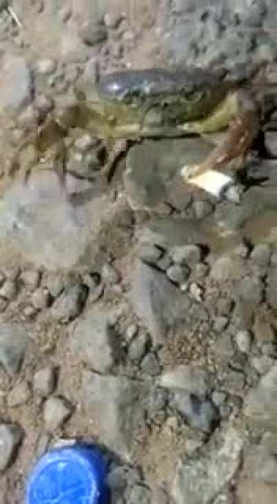 Can I get a puff? Wait! What?