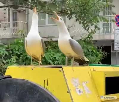 I'm a bit of a hafiz my self...