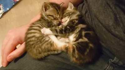 River and Inara can sleep anywhere