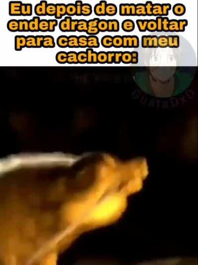 Sem ideia pra título