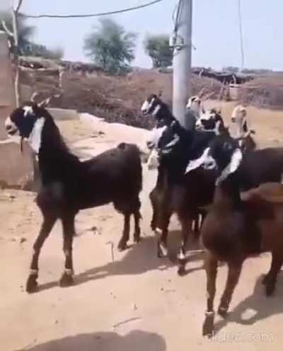 The time has come and the team is ready