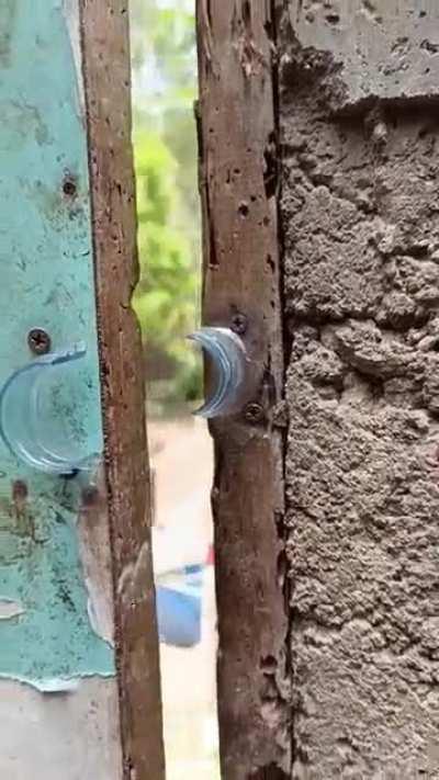 Guarding houses since 1900s