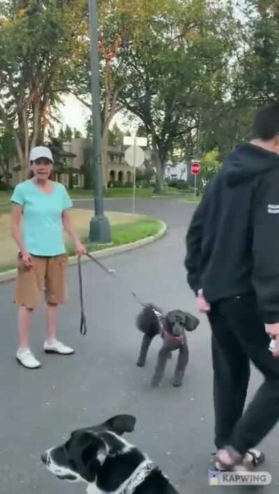 Karen dies inside after realizing she's being recorded