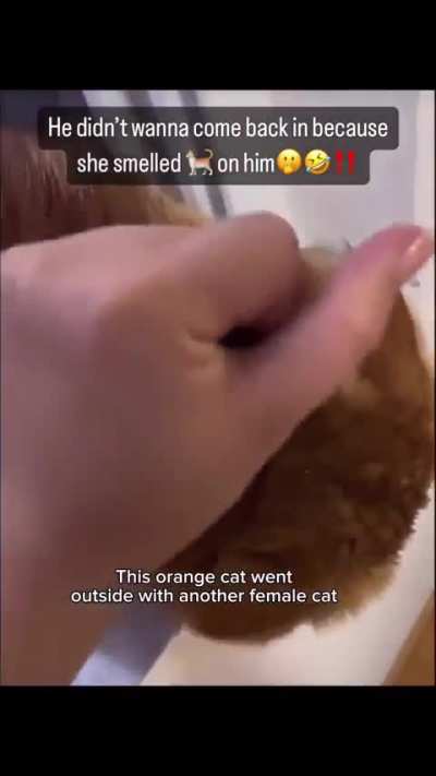 Bro's in the doghouse 