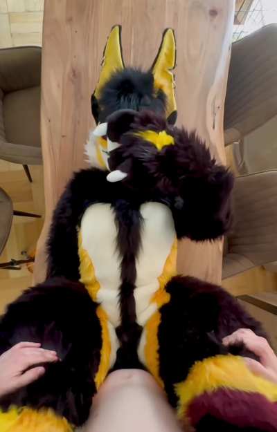 Your dinner is ready for you 🍽️[Foxgirl_Nova][M&F]