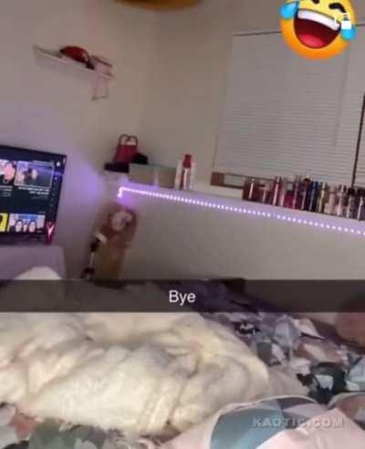 I wonder what happens if I mix hairspray and fire?