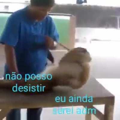 treinando pra ser adm