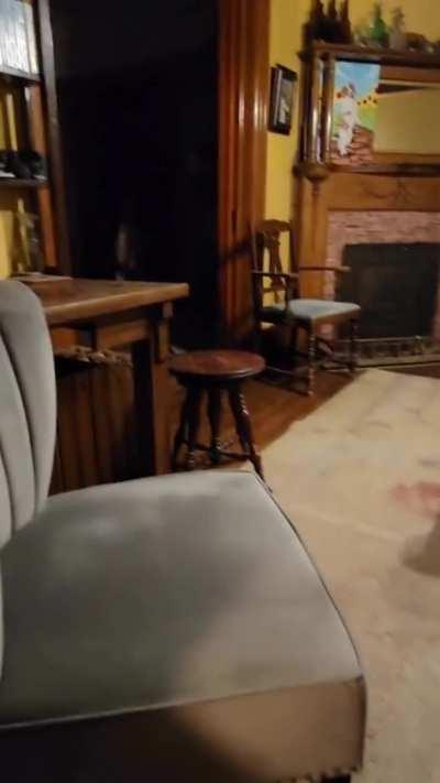 Dog walking around your house at night