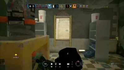 My friend’s post-plant Alibi bait