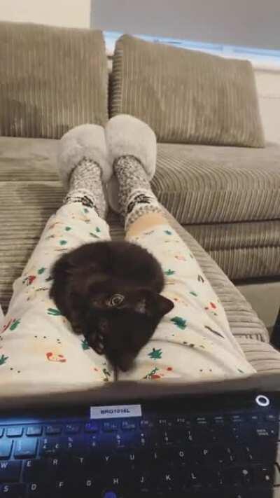 I’m new here and I’ve been building up karma since December so I could post this. I just think everyone should see it🥺