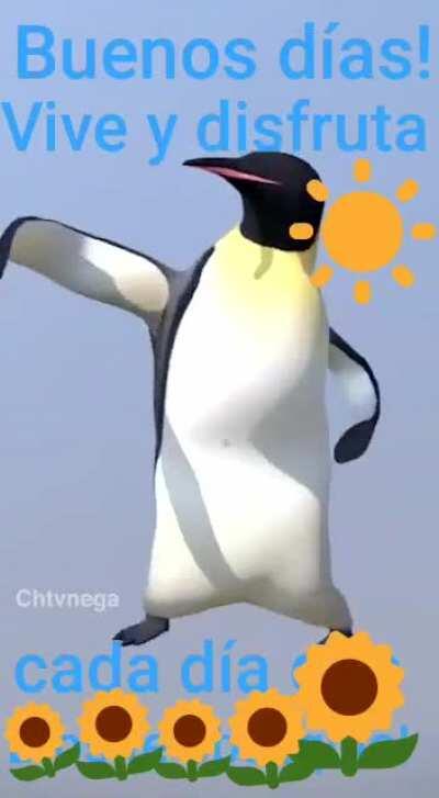 Literal me lo mando mi abuela