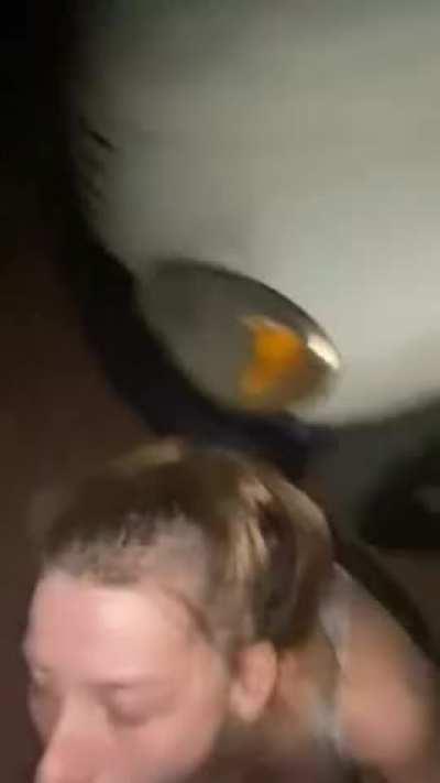 White girl blows bf's black dick in parking lot