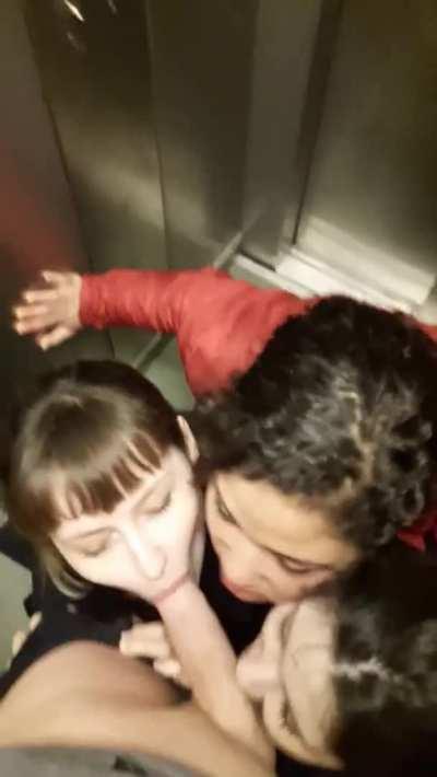 That elevator quickly!