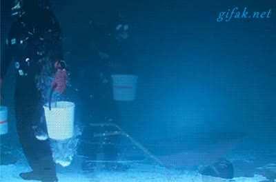 [No Spoilers]Rare IRL subnautica mining gif