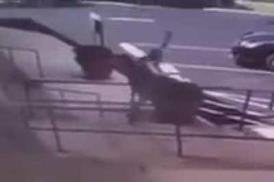 Fuck that plant in particular (Video by Quagmiretoiletgaming)