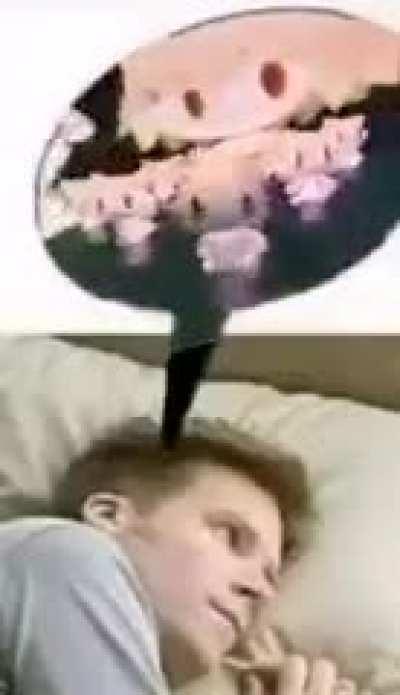 My last 3 brain cells on a test