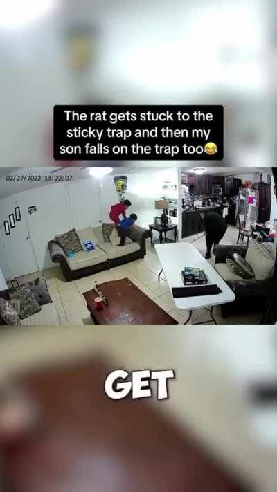 It’s all fun and games until you’re the rat… 🤣