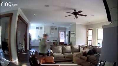 Kid bites his dad on the dick