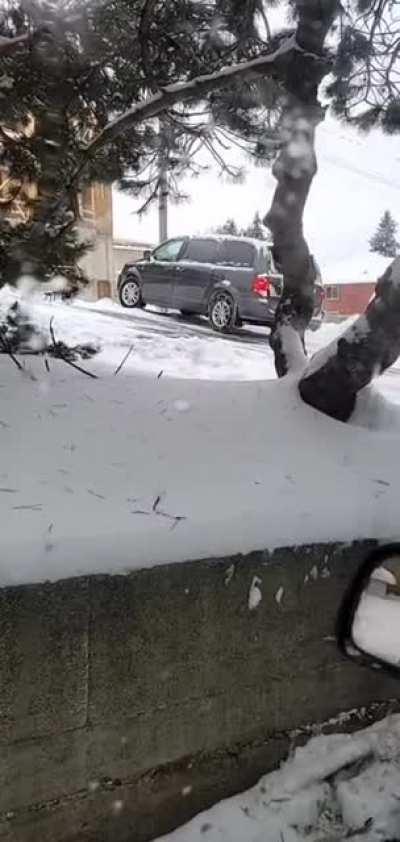 Я действительно не представляю, как можно быть настолько тупым