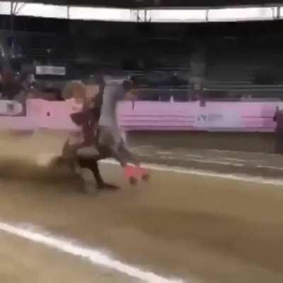 Launched new braking system for horses