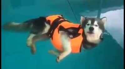 This guy was supposed to learn how to swim but he decided that floating was enough