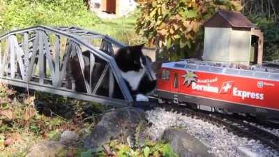 The ultimate standoff