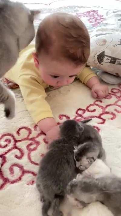 This one is also mine