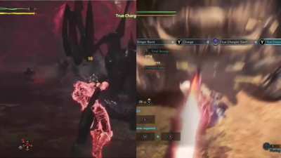 World Vs Wild TCS hitstop comparison