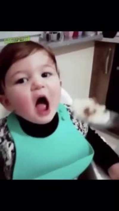 This is food time, not play time