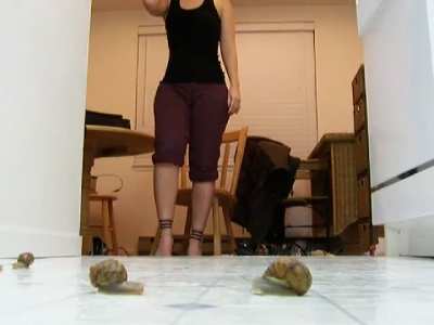 Princess Crush Snails Walkover Repost