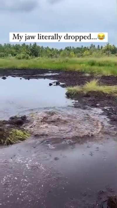 Luckily he got his sandals off before...