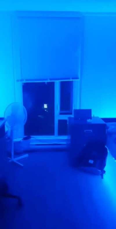 Sound Reactive Led Strips I've been working on! Using low pass filter and Arduino to control brightness/color based on bass hits in songs. (Turn Volume up)