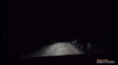 Car gets footstooled by kangaroo