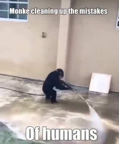 Monke clean