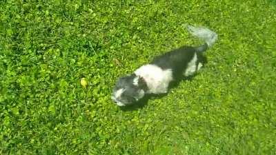 FOR BOT I AM MAKING.