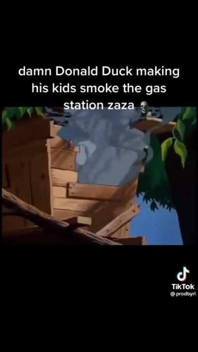 Donald Duck do be wilding